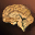 Zombie's Brain - 0
