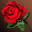 Visitor's Mark - 1
